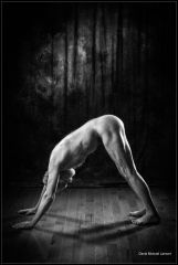 Downward Dog 0741