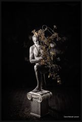 Saint Lupulin 6589