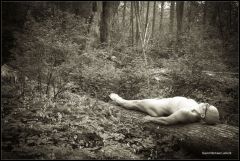 Repose 7784