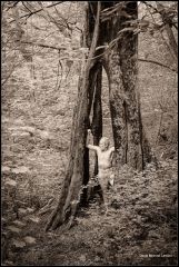 Old Man in the Woods 9885