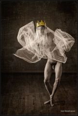 The Emperor and His Tule 122