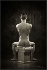 Torso 3098