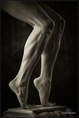 Legs 3297