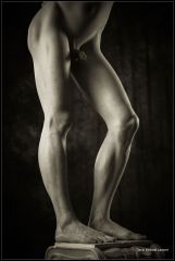 Legs 3302